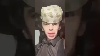 شوقر مامي برعاية البدوي 