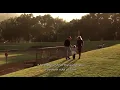 OST - Shelter from the Storm - Jerry Maguire 1996