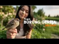 Lagu NUGIE - BURUNG GEREJA (1996) | JAZZ COVER