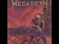 Megadeth - Wake up dead - STANDARD TUNING - HIGH QUALITY