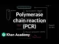 Polymerase chain reaction PCR Biomolecules MCAT Khan Academy