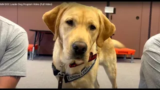 MNDOC Leader Dog Program