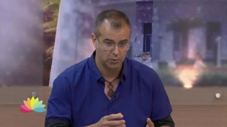 Entenda como funcionam as empresas orgânicas