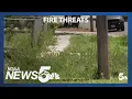 Record-setting rain means overgrown vegetation potential fuel for fires
