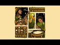 Tulips - Cloudchord & Ian Ewing