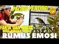 Lagu BENTUK EMOSI NYATA❗BUKA-BUKAAN DISINI MENCARI CUCAK IJO EMOSI YG SEBENARNYA🔥 BENTUK RUMUS EMOSI
