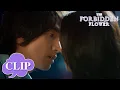 Download Lagu He was jealous and wanted to kiss her! | The Forbidden Flower | EP06 Clip