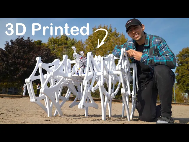 The Toronto Strandbeest video thumbnail