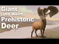 Every Time Giant Deer Have Evolved
