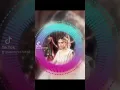 Download Lagu bina payal k he baje ghunghrooo | mix mal remix official | #rabab #mixmalremixofficial #shreyaghosha