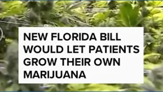 New Florida bill would let patients grow their own marijuana