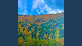 sixteen billion eyes