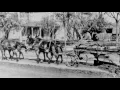 The Families Under Lake Norman