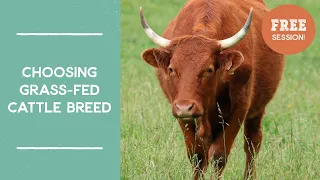 Choosing Grass-fed Cattle Breed | Salad Bar Beef | Joel Salatin's Salad Bar Beef