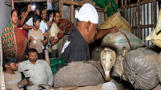 Ghar Mein Chhupa Cobra! Parivaar Ke Ud Gaye Hosh 😱🐍