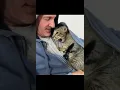Reddit and Compilation