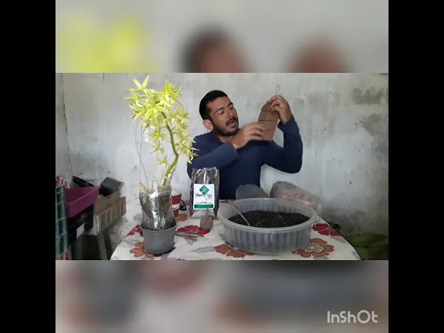 TROUXINHA DE ADUBO HIMITSU COM PALHA DE ARROZ CARBONIZADA, ORQUÍDEAS