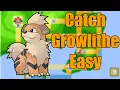 Pokemon Fire Red where to Growlithe