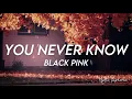 Download Lagu BLACKPINK - You Never Know (English Translation/Lyrics) #BlackPink #YouNeverKnow #MysticEuphoria
