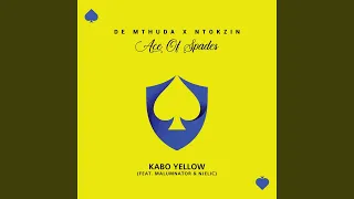 kabo yellow