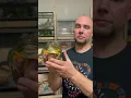 GIANT African Bullfrog
