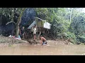 Lagu Camping hujan deras siang malam bermalam dihutan pinggir sungai rame rame dan berburu ikan