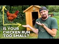Chicken Run Size How much room do CHICKENS really NEED