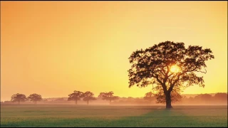 أستمع لعذوبة التلاوة محمد البراك تلاوات القرآن الكريم صوت يريح الاعصاب ويهدي القلوب YouTube 