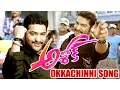 Download Lagu Okkachinni Song - Jr  NTR Songs - Ashok Movie Video Songs - Jr  NTR, Sameera Reddy