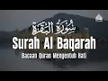 Download Lagu Surah Al Baqarah Dengan Suara Indah Membuat Hati Tenang | Mukhtar Al Hajj