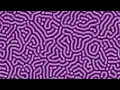 Diffusion-Reaction Patterns - Step-by-Step with Python