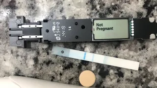 Pregnancy test review live pregnancy test