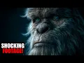 Lagu Bigfoot Sightings Compilation: Shocking Real-Life Footage
