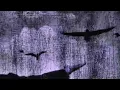 Flawed Mangoes - Missing Pieces (Slowed) [Visualizer]