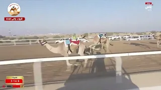 الشوط 7 نهب لـ سعيد شافي سعيد سليم الوهيبي 5 58 31 مهرجان الظفرة 2025 