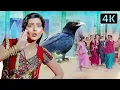 Download Lagu કોયલ બોલે કુ કુ - રોમા માણેક - હિતેન કુમાર - અરવિંદ બારોટ - સાધના સરગમ - 4K લગ્ન ગુજરાતી ગીત