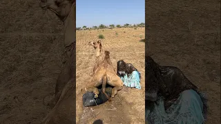 الفتاة تجلب الرخاء لنفسها من خلال تعريض نفسها للخطر 