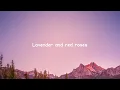 Lavender & Red Roses - Ibeyi, Jorja Smith [Visualized Lyrics] 🥰