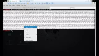 Basis of Exploit research and python - Real Demo