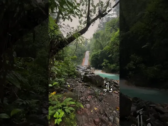 ⁣#دعاء_الصباح وَافْتَحِ اللَّهُمَّ لَنَا مَصَارِيعَ الصَّبَاحِ بِمَفَاتِيحِ الرَّحْمَةِ وَالْفَلاحِ