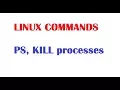 Linux Beginners Tutorials - PS and KILL commands with examples