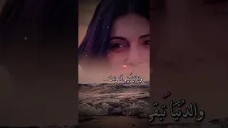 بينت الحب عليا ميادة الحناوي الثمن اكسبلور Capcut Freefire حالات Foryou 