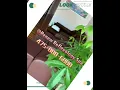 Renew Reflexology Spa in Fairfield