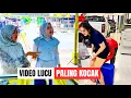 Lagu Dari Yang Lucu, Ini Yang Paling Lucu | Kumpulan Video Lucu #funnyvideo 