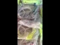 Craigslist Sale Chesapeake Bay Trolling Tackle