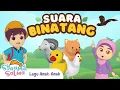 Download Lagu Suara Binatang | Syaamil Salma | Lagu Anak Islami