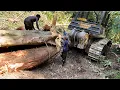 Download Lagu Luar Biasa Aksi para pemburu kayu Logs Di Hutan  rimba