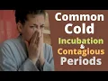 What is the Incubation Period for Cold How Long is a Cold Contagious