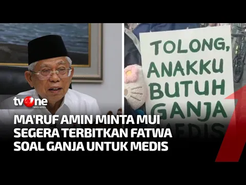 Ma'ruf Amin Minta MUI Terbitkan Fatwa Soal Legalisasi Ganja Medis