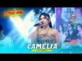Lagu CAMELIA - TYA PAMELO OM WONGJOWO MADIUN X GHEBHE AUDIO LIVE PONOROGO
